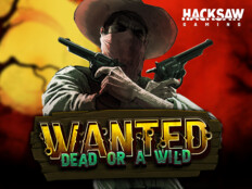 Bonus hunter casino. Wordpress casino theme.99